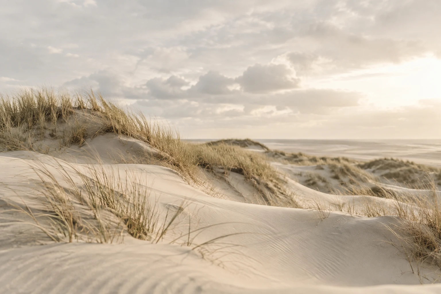 Rustig duinlandschap in neutrale tinten